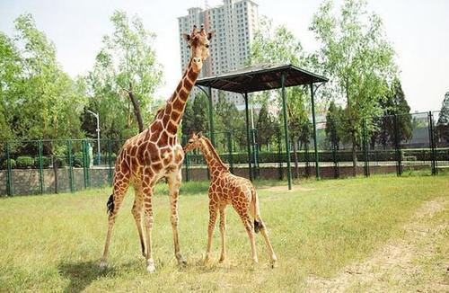 太原,深度解读城市魅力与特色评论文章