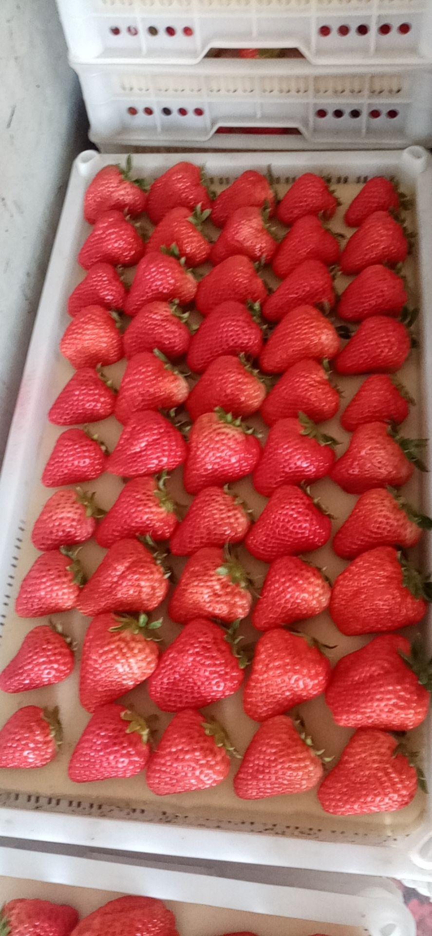 丹东，风情万种的小城魅力无限